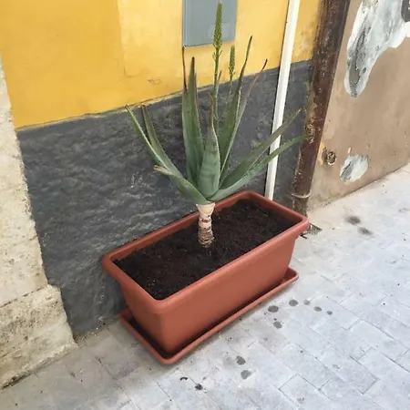 Casa Rachele Syracuse
