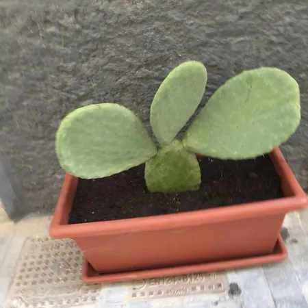 Casa Rachele Vakantiehuis